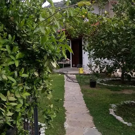 Vilă Koza *