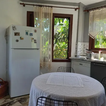 Koza Villa