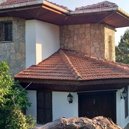 Koza Villa