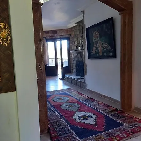 Koza