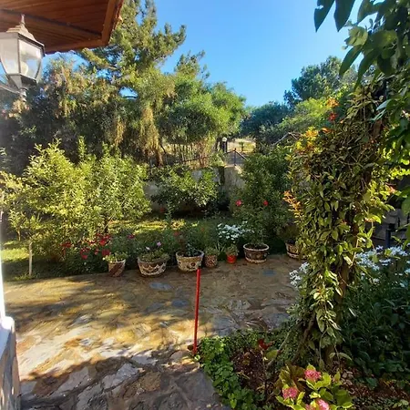 Villa Koza *