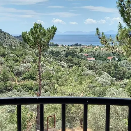 Villa Koza *