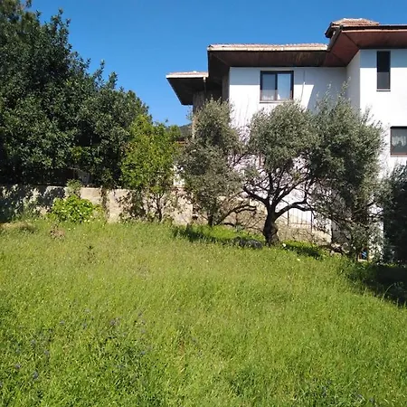 Villa Koza