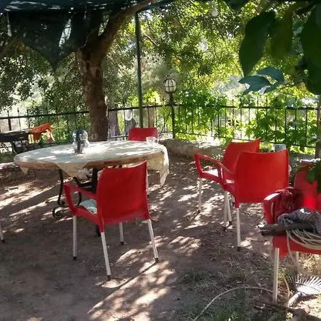 Koza Villa