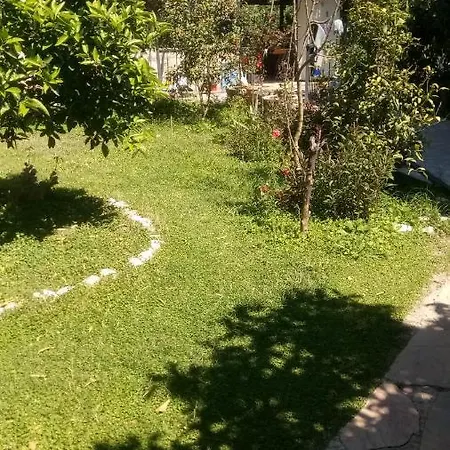 Koza Doseme