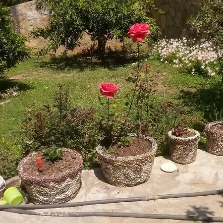 Koza Villa Doseme