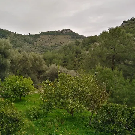 Koza Villa